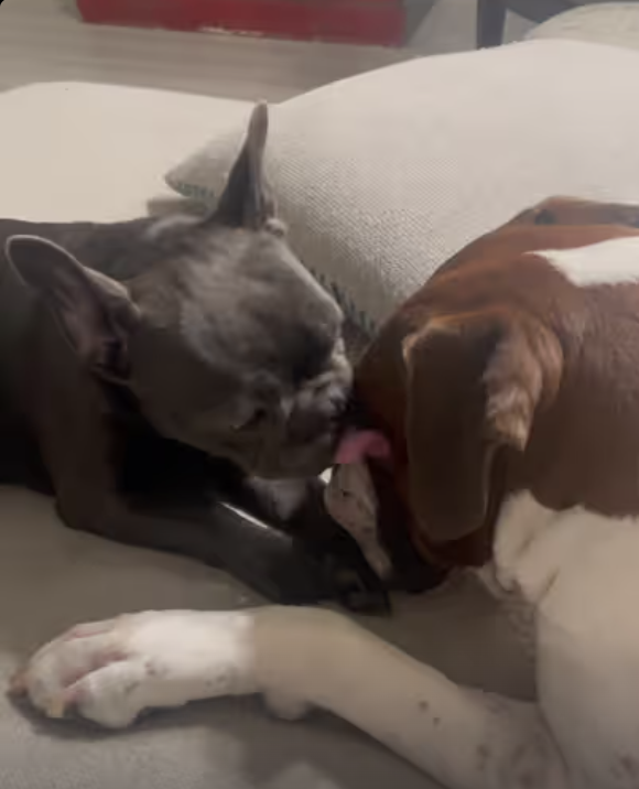 Mommy Said You Have To Wash Your Hands And Face Before Bedtime !